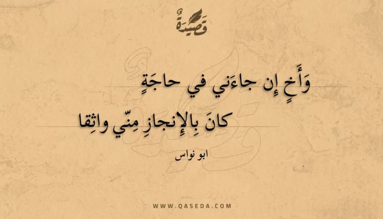 قصيدة وأخ إن جاءني في حاجة