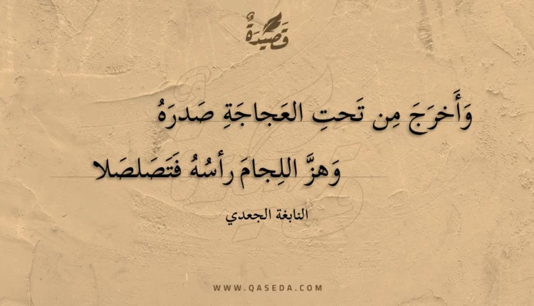 قصيدة وأخرج من تحت العجاجة صدره
