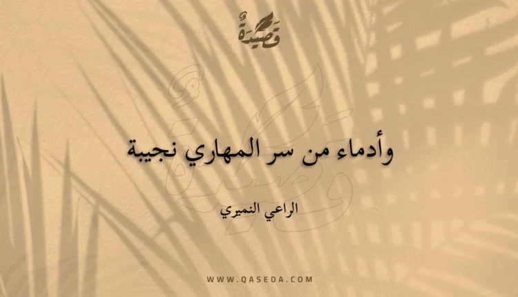 قصيدة وأدماء من سر المهاري نجيبة