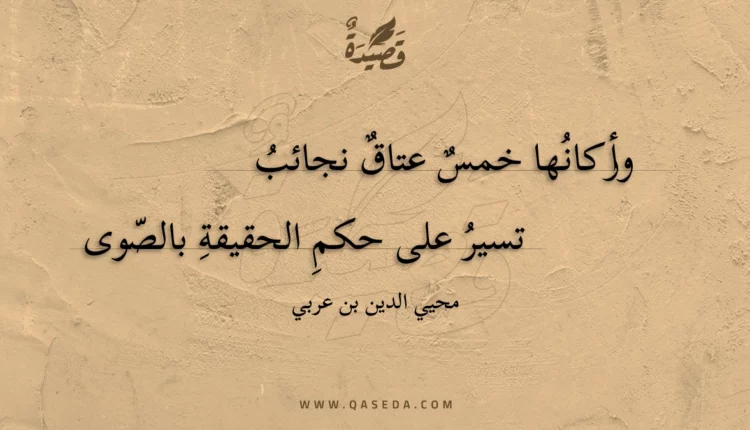 قصيدة وأركانها خمس عتاق نجائب
