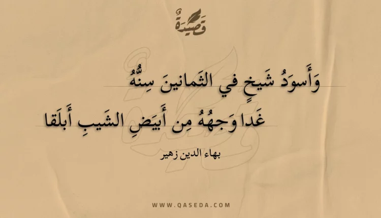 قصيدة وأسود شيخ في الثمانين سنه
