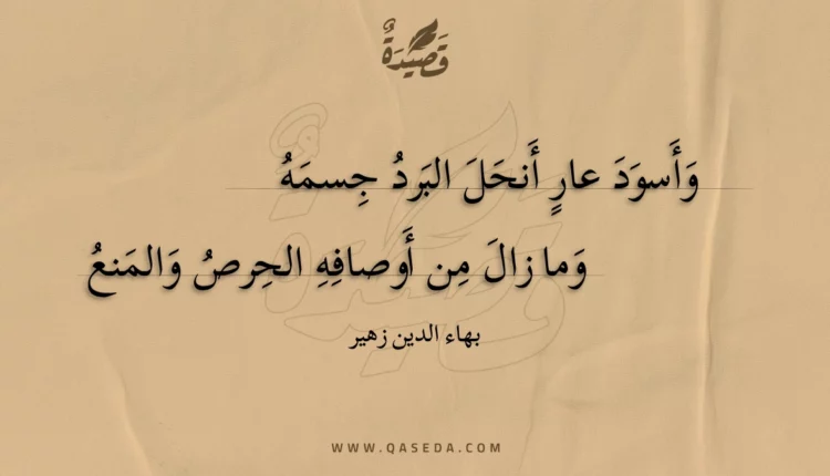 قصيدة وأسود عار أنحل البرد جسمه