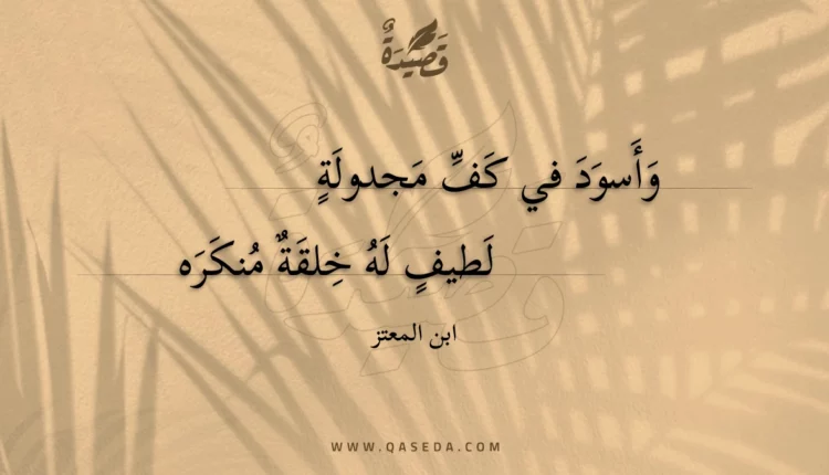قصيدة وأسود في كف مجدولة