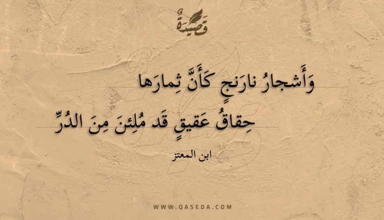 قصيدة وأشجار نارنج كأن ثمارها