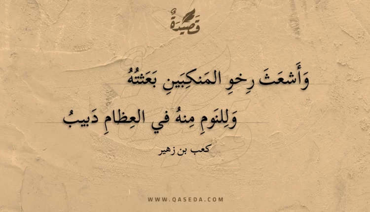 قصيدة وأشعث رخو المنكبين بعثته