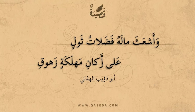 قصيدة وأشعث ماله فضلات ثول