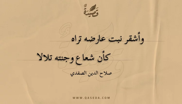 قصيدة وأشقر نبت عارضه تراه