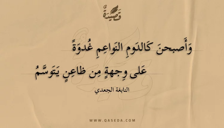 قصيدة وأصبحن كالدوم النواعم غدوة