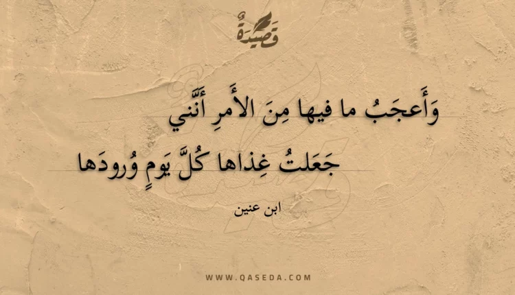 قصيدة وأعجب ما فيها من الأمر أنني