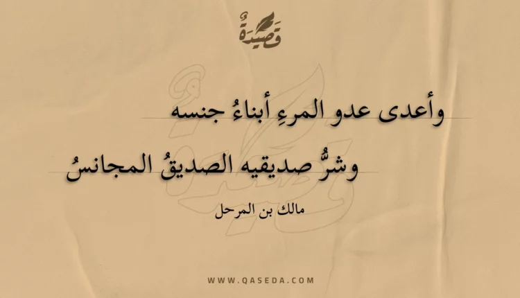 قصيدة وأعدى عدو المرء أبناء جنسه