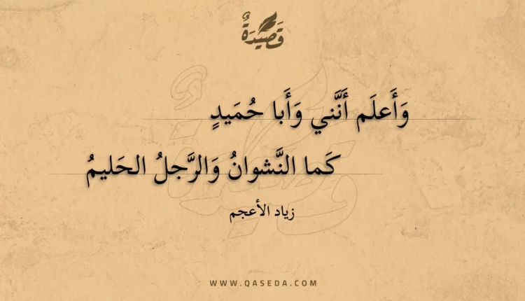قصيدة وأعلم أنني وأبا حميد