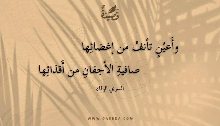 قصيدة وأعين تأنف من إغضائها