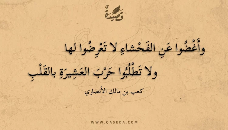 قصيدة وأغضوا عن الفحشاء لا تعرضوا لها