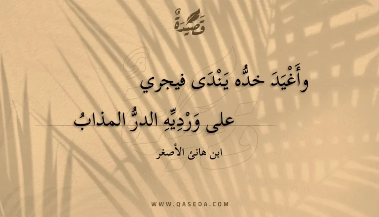 قصيدة وأغيد خده يندى فيجري