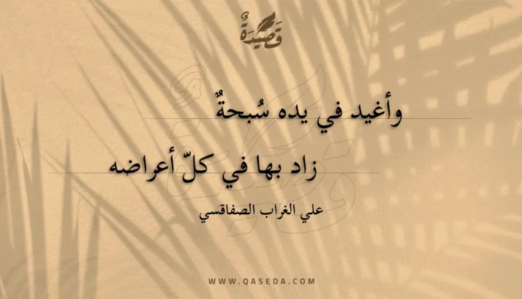 قصيدة وأغيد في يده سبحة