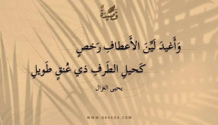 قصيدة وأغيد لين الأعطاف رخص