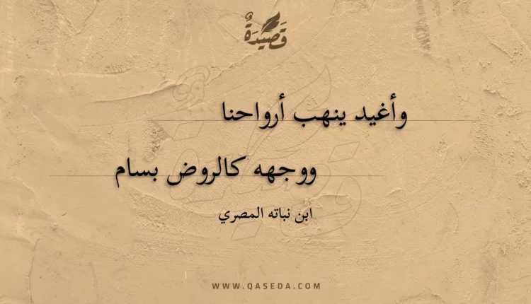 قصيدة وأغيد ينهب أرواحنا