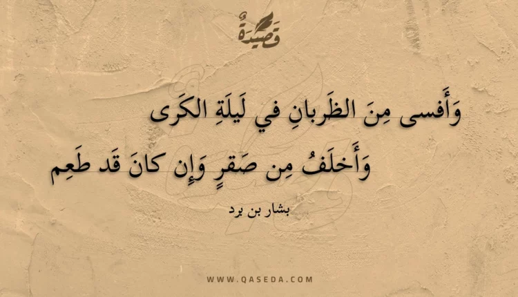 قصيدة وأفسى من الظربان في ليلة الكرى