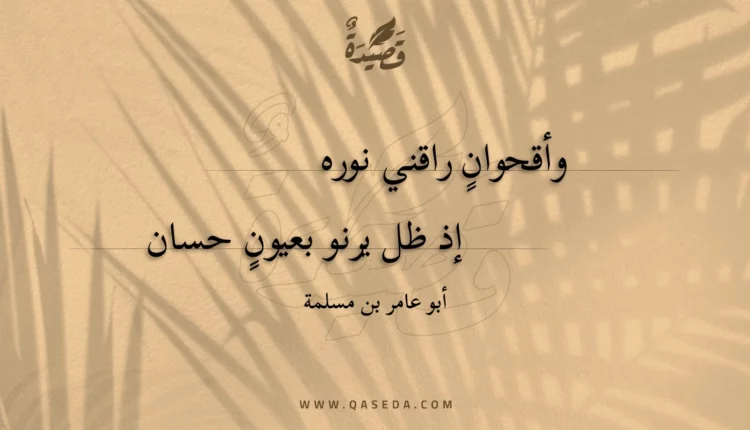 قصيدة وأقحوان راقني نوره