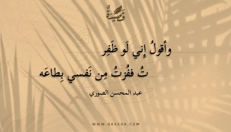قصيدة وأقول إني لو ظفرت