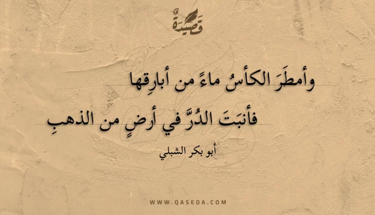 قصيدة وأمطر الكأس ماء من أبارقها