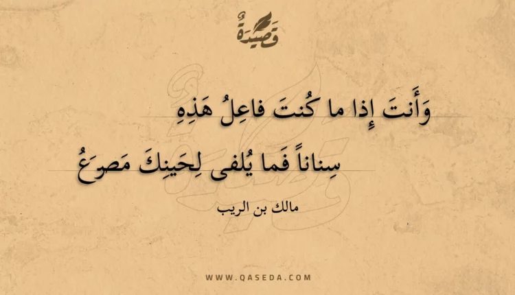 قصيدة وأنت إذا ما كنت فاعل هذه
