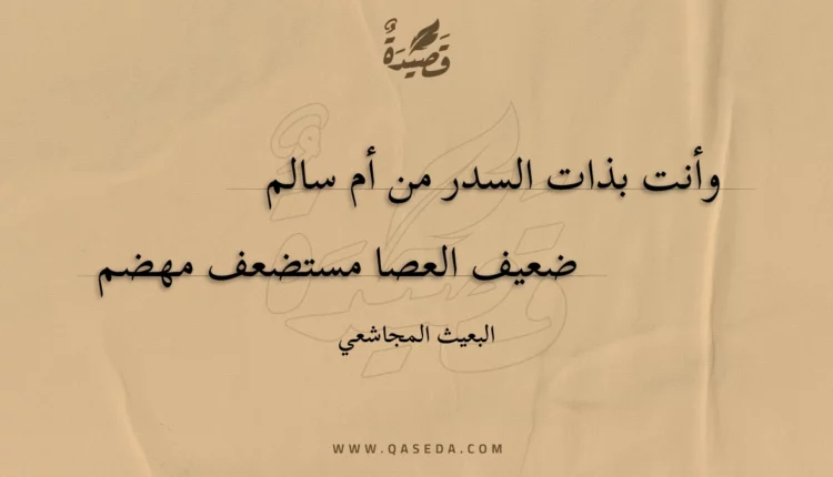 قصيدة وأنت بذات السدر من أم سالم