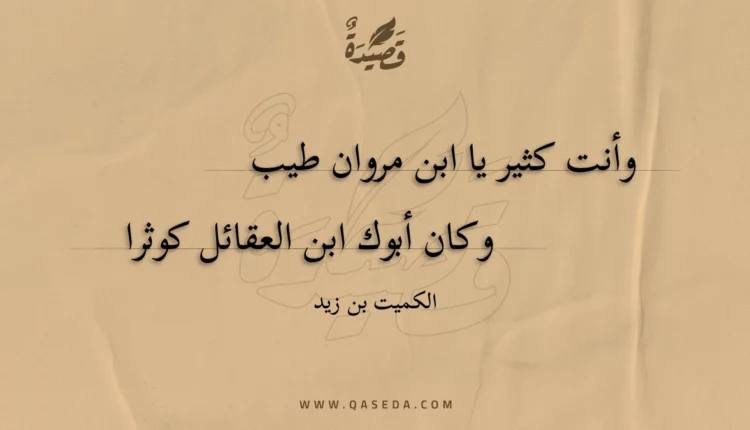قصيدة وأنت كثير يا ابن مروان طيب