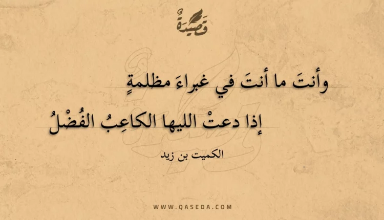 قصيدة وأنت ما أنت في غبراء مظلمة