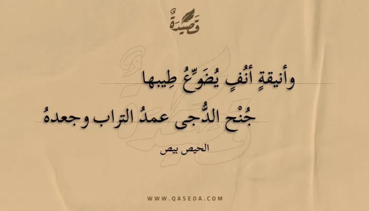 قصيدة وأنيقة أنف يضوع طيبها