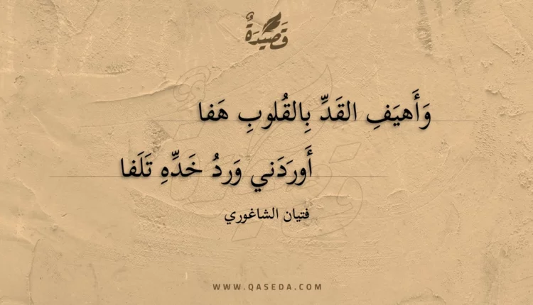 قصيدة وأهيف القد بالقلوب هفا
