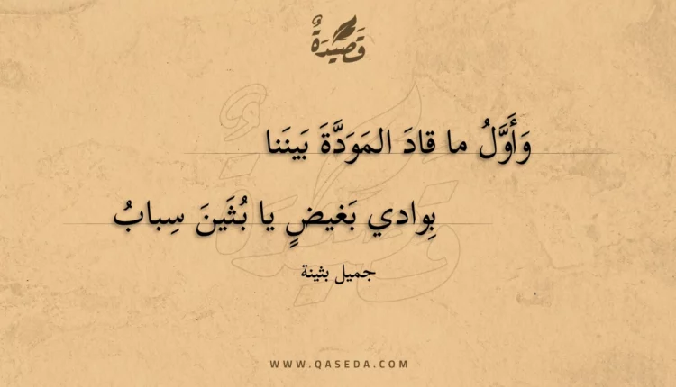 قصيدة وأول ما قاد المودة بيننا