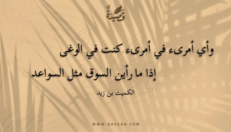 قصيدة وأي أمرىء في أمرىء كنت في الوغى