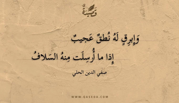 قصيدة وإبرق له نطق عجيب