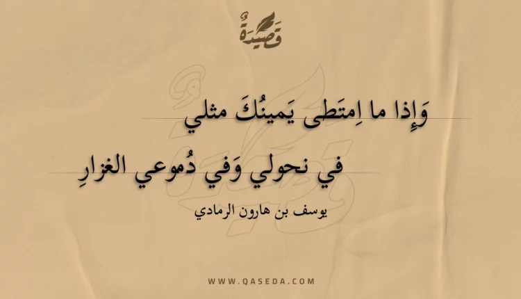 قصيدة وإذا ما امتطى يمينك مثلي