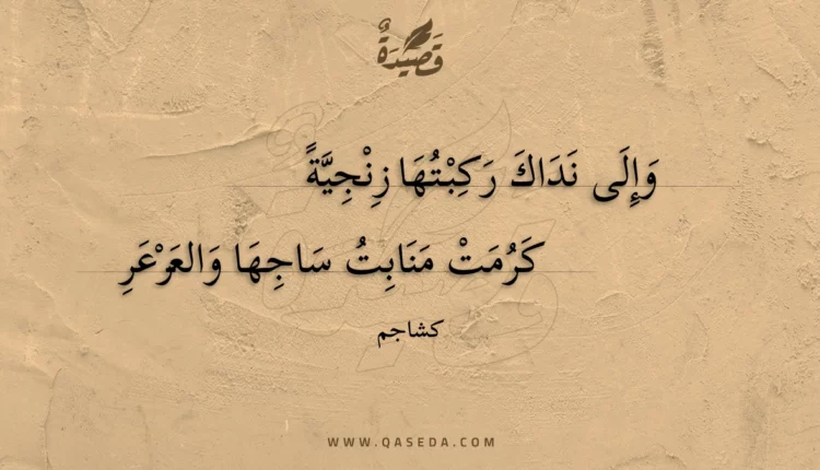 قصيدة وإلى نداك ركبتها زنجية