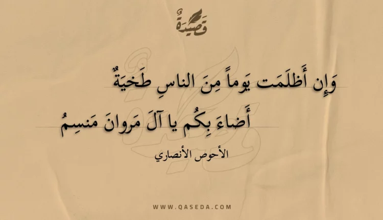 قصيدة وإن أظلمت يوما من الناس طخية