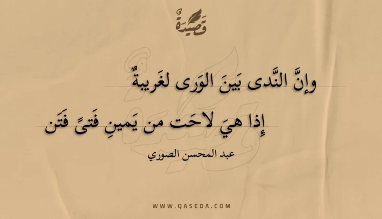 قصيدة وإن الندى بين الورى لغريبة