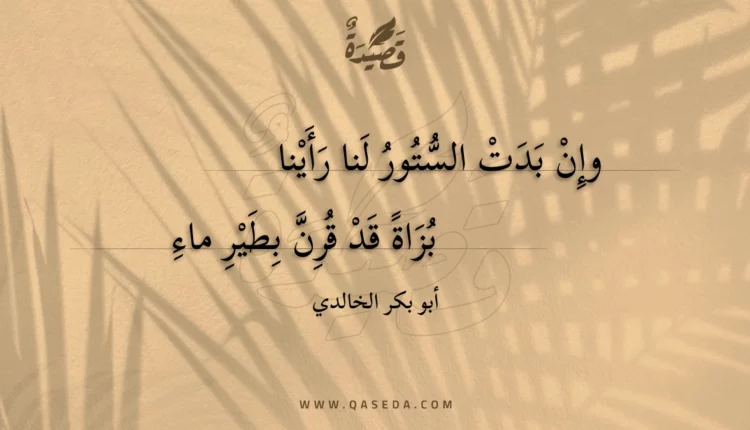 قصيدة وإن بدت الستور لنا رأينا