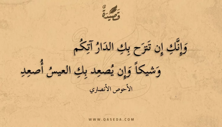قصيدة وإنك إن تنزح بك الدار آتكم