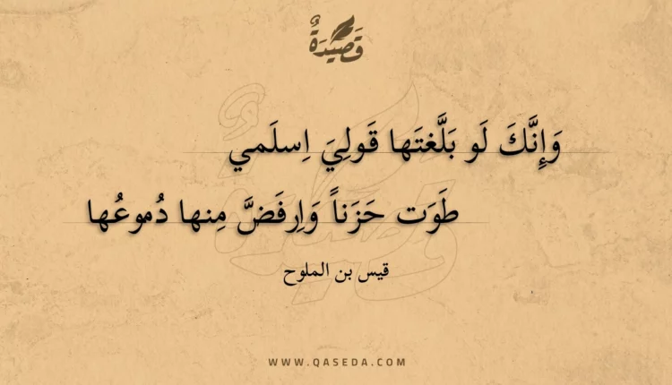 قصيدة وإنك لو بلغتها قولي اسلمي