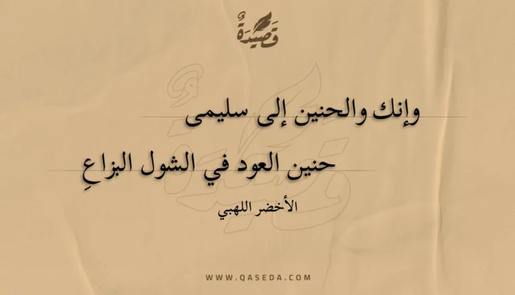 قصيدة وإنك والحنين إلى سليمى
