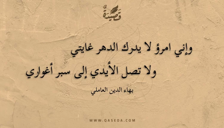 قصيدة وإني امرؤ لا يدرك الدهر غايتي
