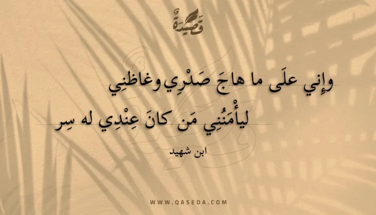 قصيدة وإني على ما هاج صدري وغاظني