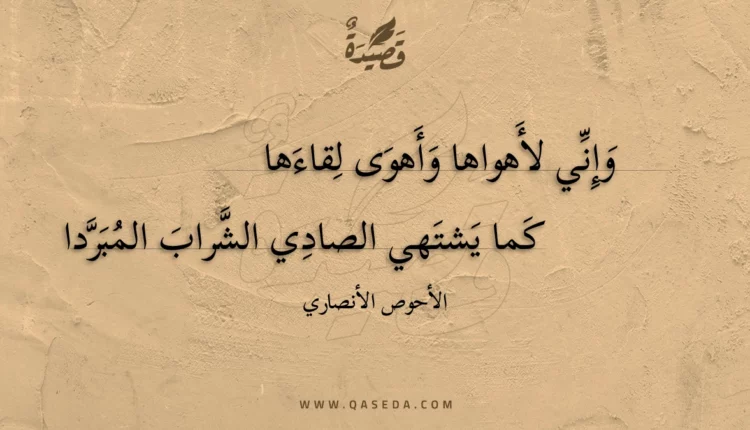 قصيدة وإني لأهواها وأهوى لقاءها