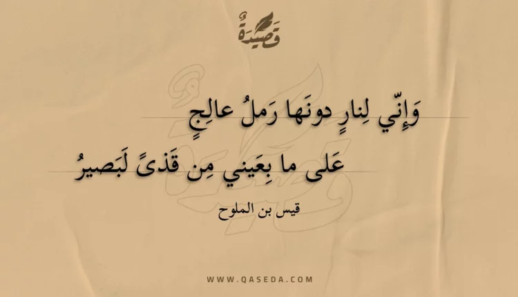 قصيدة وإني لنار دونها رمل عالج
