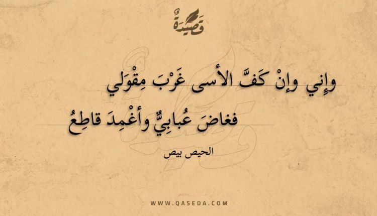 قصيدة وإني وإن كف الأسى غرب مقولي