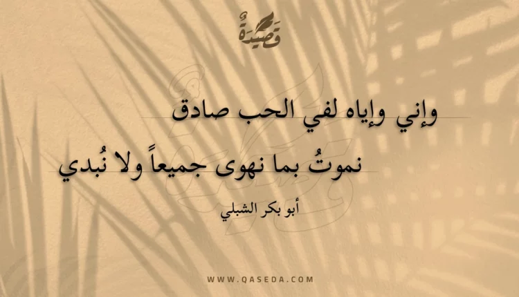 قصيدة وإني وإياه لفي الحب صادق