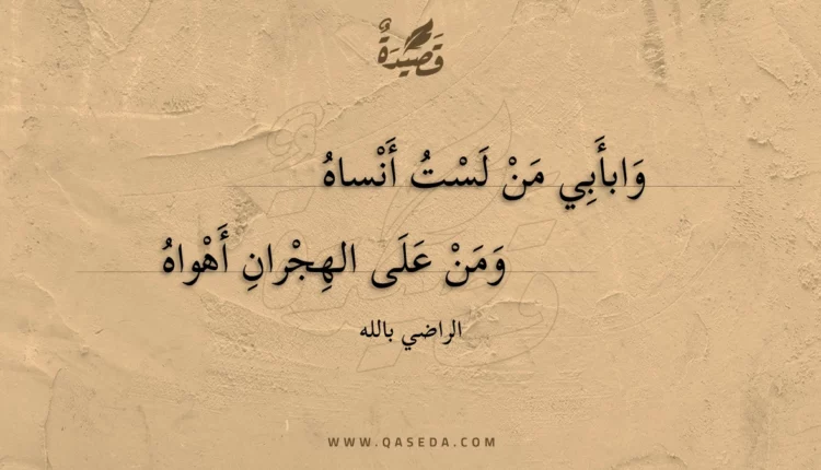 قصيدة وابأبي من لست أنساه