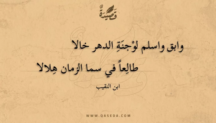 قصيدة وابق واسلم لوجنة الدهر خالا